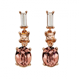 Rose Gold Plated Crystals from Swarovski Earrings 